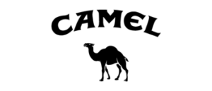 BBH Agencies - Camel